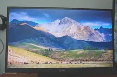 LG ディスプレイ モニターのサムネイル