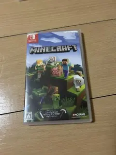 Minecraft Nintendo Switch版