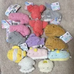 つぶらな瞳の水族館 mocomoco 11種