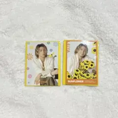 瀬口黎弥 Fantastics Sunflower フォトカ　シークレット