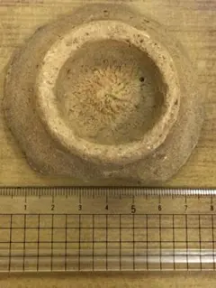 Item thumbnail for item 33655c36-754f-41f6-ba07-82a7c1dd38c7