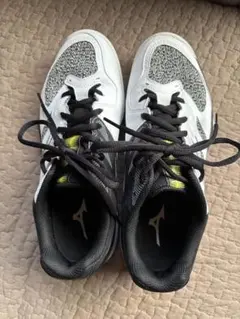 テニスシューズ 24