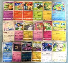 デデンネ ピチュー チラチーノ ポリゴン ヌメラ フラエッテ 等 計18枚セット