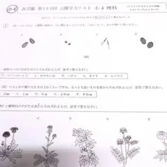 【入手困難品】浜学園小4 国語 H１年分講習復習テスト No1～42 問題解答 入手困難品】浜学園小4 国語 H1年分講習復習テスト No1～42