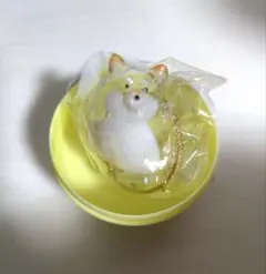 うちの子のけだまだま　柴犬