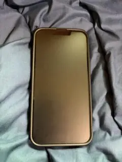 iPhone16e 本体