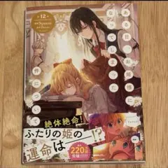ある日、お姫様になってしまった件について 12 特典なし