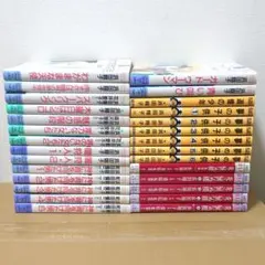 浜田翔子　28冊セット　コミック