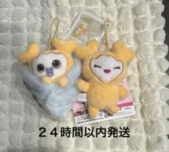 2025年最新】TWICEおくるみマスコットの人気アイテム - メルカリ