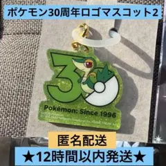 【匿名配送】ポケモン30周年ロゴマスコット2 ツタージャ　めじるしPOKEMON