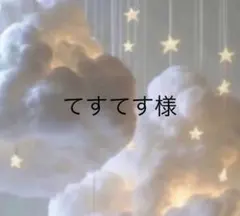 【専用です】てすてす様