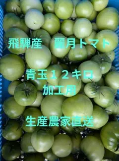飛騨産　麗月トマト青玉１２キロ　生産農家直送のサムネイル