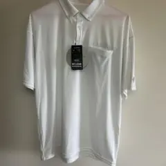 Item thumbnail for item b44a33df-80d9-4fa1-a13e-1ac244817ed7