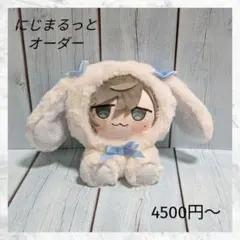 受付停止中】韓国 ぬいぐるみ オーダー 推しぬい - メルカリ