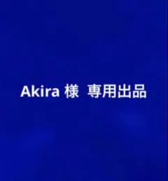 アズール・アーシェングロット フィギュア (台座無し)