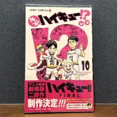 れっつ! ハイキュー!? 10