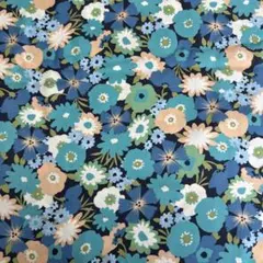 Item thumbnail for item 9b8d835a-faec-4492-ae0a-95da241ce4a9