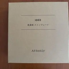 アテニアとIDÉEコラボ　 美濃焼 メインプレート Attenirのサムネイル