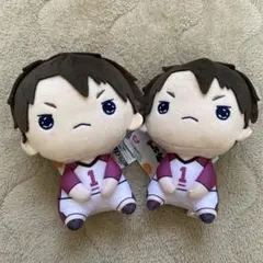 2点セット　もちぴこ　牛島若利　ハイキュー　ぬいぐるみ