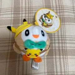 2026年最新】fan of pikachu モクローの人気アイテム - メルカリ