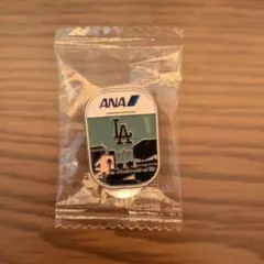 2025年最新】ana ピンバッチの人気アイテム - メルカリ