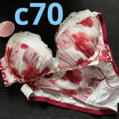 aimerfeel ブラ ショーツ セット c70