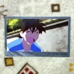 【忍たま】土井半助（アニメイト特典 劇場公開1周年記念フェア）