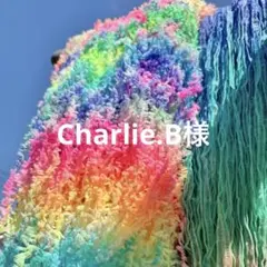 Charlie.B様　おまとめ