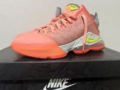 Nike レブロン19 Low Hawaii Pink 28cm - メルカリ