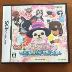 ワンタメ うらないチャンネル