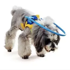 Item thumbnail for item ee951805-5143-4886-8e88-c4a954ed5dfe