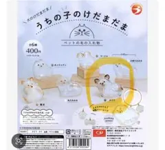 うちの子のけだまだま チワワ(黒)