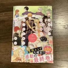 ある日、お姫様になってしまった件について 13