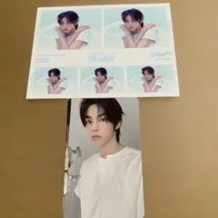 TWS playhard compact ver. ドフン