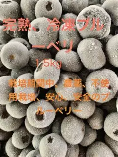 冷凍ブルーベリー1.5キログラム。小粒のサムネイル