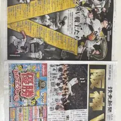 阪神 v 優勝 号外 読売新聞 2枚セット