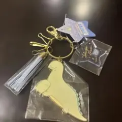 すみっこぐらし　とかげの夢　キーチェーン