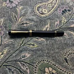 THE PILOT 14K 万年筆 中字 エボナイト インク付 希少 - メルカリ