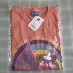 Tシャツ　Lサイズ　新品　ディズニーリゾート限定　シンデレラ城　ミッキー