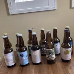クラフトビール他空き瓶 11本セット