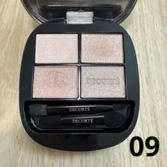 【未使用に近い】コスメデコルテ スキンシャドウデザイニング パレット09