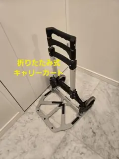 Item thumbnail for item 2d119b99-3eff-4835-badb-46acc0d18c66