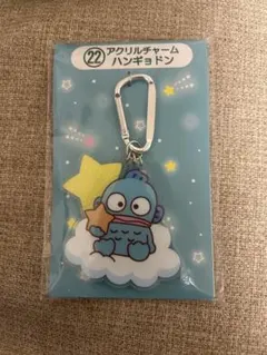 2025年サンリオキャラクター大賞当りくじ　22ハンギョドン　アクリルチャーム