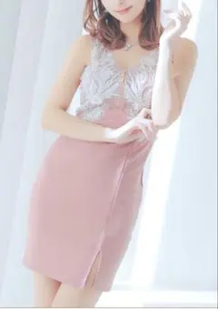 TIKAVネックビジュー刺繍シアー切替フロントジップノースリーブミニドレス