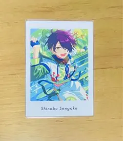 流星隊 仙石忍 ぱしゃっつvol5