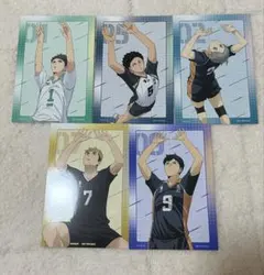 ハイキュー‼︎ウィンターフェア2025 inアニメイト ビジュアルカードまとめ売り