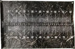 Item thumbnail for item aac8dd9a-ce75-4d3b-b403-6f7067df1db7