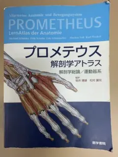 プロメテウス 解剖学アトラス 解剖学総論／運動器系 第4版 - メルカリ