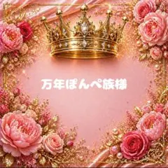 万年ぽんぺ族様 リクエスト 2点 まとめ商品