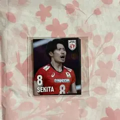 Item thumbnail for item 9b4c71c4-3540-4da9-a697-4198a72b1848